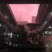 Picture for song 'The Mood' by artist 'Griffin Of The Evloution'