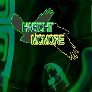 Picture for song 'Habicht McMore - Turn the Birds Beards' by artist 'Habicht McMore'
