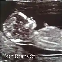 Picture for song 'Barnbarnslt (Grandchild song)' by artist 'Stefan F Karlsson'