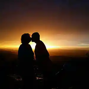 Picture for song 'Our Love' by artist 'Tom McGuire'