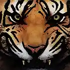 Picture for song 'SILENT HUNT' by artist 'TONEzEp1K Pro'