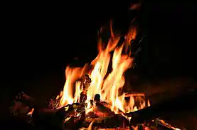 Picture for song 'Trippie Redd x MGK x Polo G Type Beat "FIRE" (Pro' by artist 'Trackmatic 850'