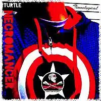 Picture for song '2 minutes' by artist 'Turtle Necromancer'