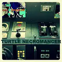 Picture for song 'Bottom Out' by artist 'Turtle Necromancer'