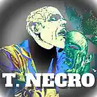 Picture for song 'Hoodie Boy' by artist 'Turtle Necromancer'