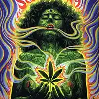 Picture for song 'Im So High Ft Big Will Prod Tyler G' by artist 'Apollo Lion Isra-iie'