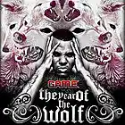 Picture for song 'YEAR OF THE WOLF (DiamondStyle.com)' by artist 'BEATS by Diamond Style'