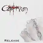 Picture for song '04 Meaningless Endeavours.mp3' by artist 'Captivum'