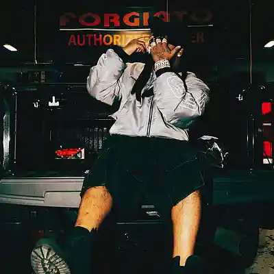 Picture for song 'ZIPLOCK 153 BPM / ICEWEAR VEZZO TYPE BEAT' by artist 'Detroit Beats Only'