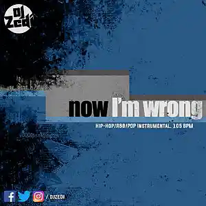 Picture for song 'Now I'm Wrong' by artist 'DJ Zedi'