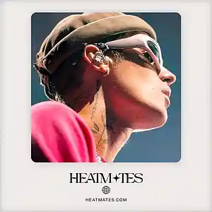 Picture for song 'Veins (The Kid Laroi x Machine Gun Kelly)' by artist 'HEATMATES'