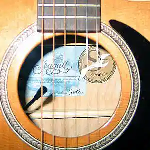 Picture for song 'Peace Train' by artist 'Homoerectus (AUS)'