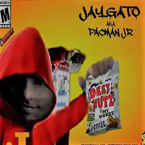 Picture for song 'STOP BEASTIN (REMAKE)' by artist 'JAYGATO'