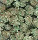 Picture for song 'BLOWIN ON LOUD' by artist 'MIKE TEW BEATZ'