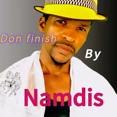 Picture for song 'don finish' by artist 'namdis'