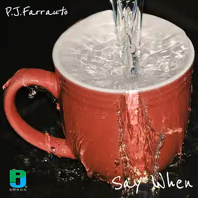 Picture for song 'Can't Get Enough Of Your Love' by artist 'P.J.Farrauto'