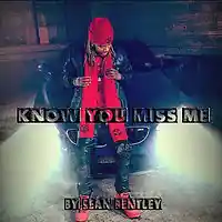 Picture for song '*Know You Miss Me* New Banger (Free DL)' by artist 'Sean Bentley'