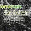 Picture for song 'Spiderwebs' by artist 'Tomtrum'