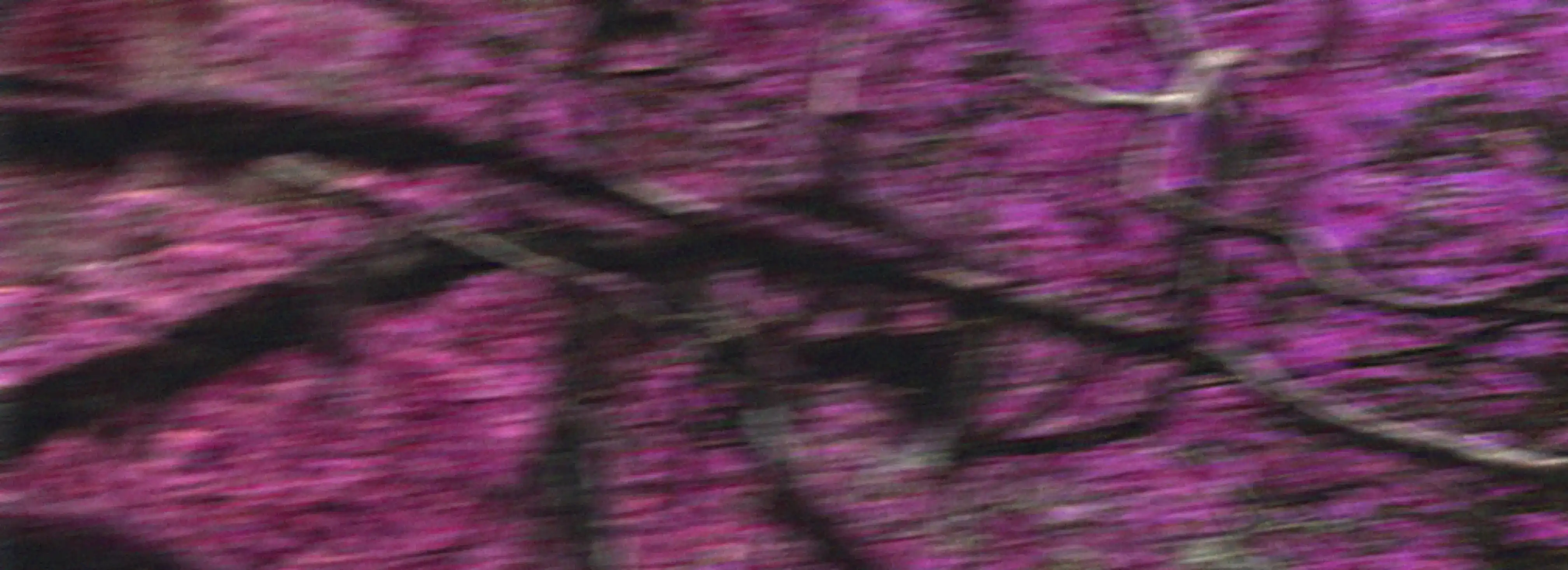 cover pic