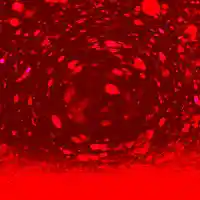 Picture for song 'YellClint Lavens' by artist 'Clint Lavens'