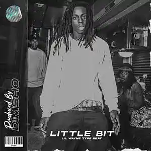 Picture for song 'Little Bit' by artist 'Dimsho Beats'