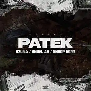 Picture for song 'Patek' by artist 'ElReggaetonn Entertainment'