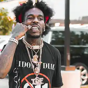 Picture for song '*NEW SAUCE WALKA CHOPPAS TYPE BEAT | FREE DL' by artist 'OffcialProtegebeatz'