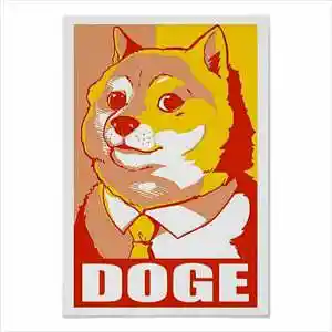 Picture for song '(FREE) PLAYBOI CARTI X WLR TYPE BEAT "Doge"' by artist 'Robbero'