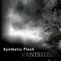 Picture for song 'Storm' by artist 'Synthetic Flesh'