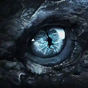 cover pic