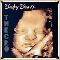 Picture for song 'Baby Beats' by artist 'Turtle Necromancer'