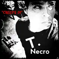 Picture for song 'Creeps In' by artist 'Turtle Necromancer'