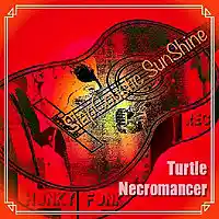Picture for song 'SlapCoustic SunShine' by artist 'Turtle Necromancer'