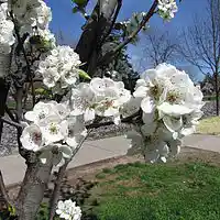 Picture for song 'Do You Think We Could Live Here?' by artist 'Global Citizen'