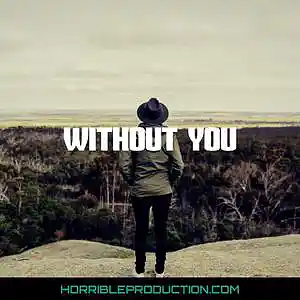 Picture for song 'Without you' by artist 'Horrible production'