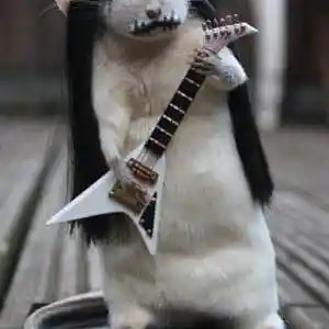 Picture for song 'Metal Rat' by artist 'Jammer59'