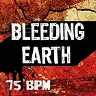 Picture for song 'Bleeding Earth' by artist 'Paulina Steel Production'