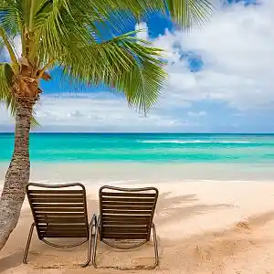 Picture for song 'Summer Vibes' by artist 'Steed Watt Music'