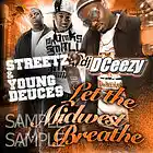Picture for song 'Dat Guy (Produced By Franchize)' by artist 'Streetz -n- Young Deuces'