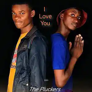 Picture for song 'The_Pluckers(I_LOVE_YOU)_Prod_By_Vitaso_-_Copy' by artist 'The Pluckers Drip x and Biggy JKN'
