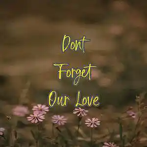 Picture for song 'Dont Forget Our Love' by artist 'Anac On The Beat'