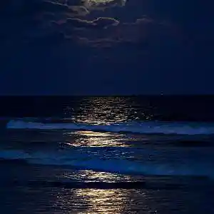 Picture for song 'Phase of Blue' by artist 'Dream States'