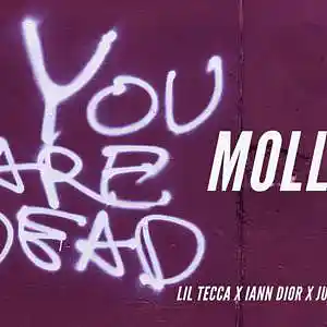 Picture for song '[FREE] Lil Tecca x Juice WRLD x iann dior "Molly"' by artist 'Cort Beats'