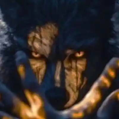 Picture for song 'raised by wolves' by artist 'n-d cogumelo'