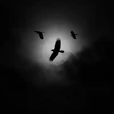 Picture for song '21 SAVAGE TYPE BEAT "PORTAL DA MORTE"' by artist 'NEDIL Production'