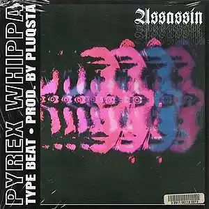Picture for song 'ASSASSIN (BUY 1 GET 1 FREE)' by artist 'PLUQSTA'