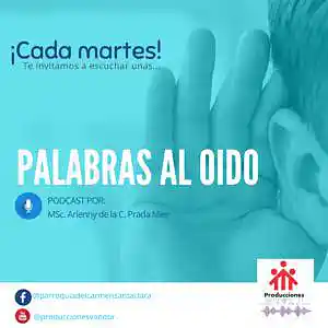 Picture for song 'Palabras al oído - Programa 1' by artist 'Producciones Vandor'