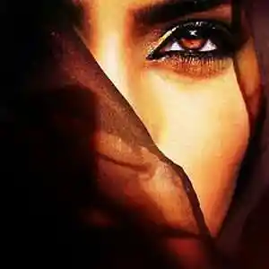 Picture for song 'House Oriental / Reggaeton / beat' by artist 'Sanchev'