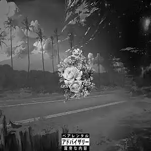 Picture for song 'Skii Mask - Replaced You (Prod. Skii Mask)' by artist 'Skii Mask'