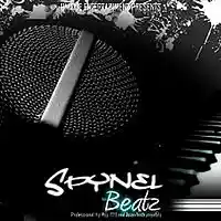 Picture for song 'In The House' by artist 'SpynelBeatz'